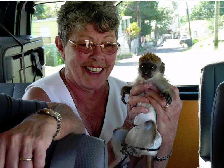 Aruba monkey