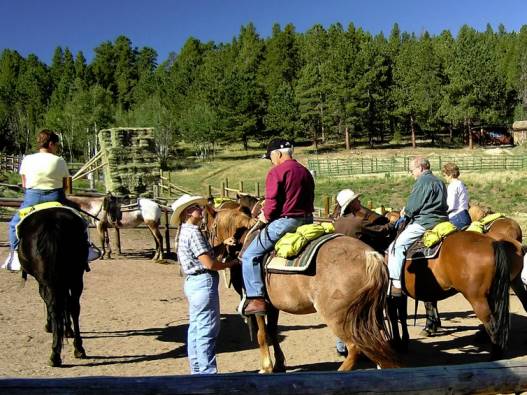 Lane horse riding